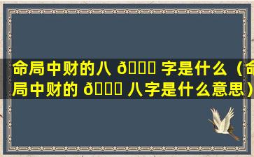 命局中财的八 🐞 字是什么（命局中财的 🍀 八字是什么意思）